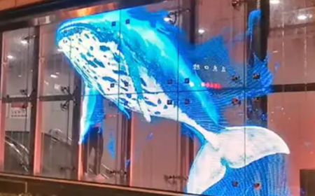 LED transparent screen products will be the 